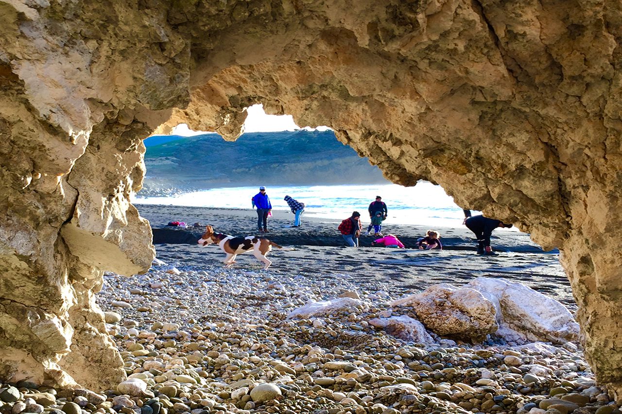 Dog & Children Running by Cave on beach