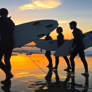 Group of Surfers